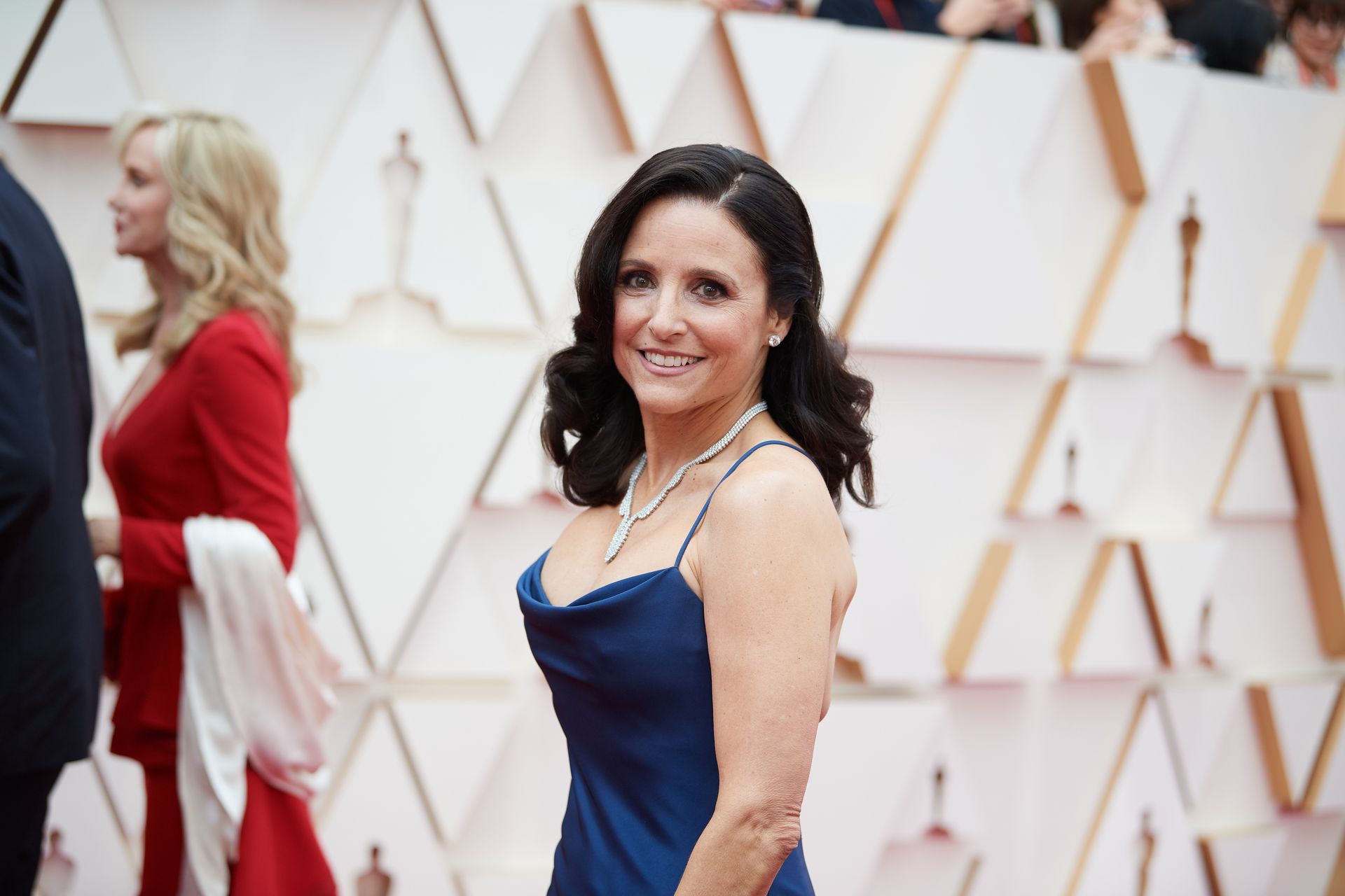 Julia Louis Dreyfus Flaunts Her Milf Body At The 2020 Academy Awards 0052