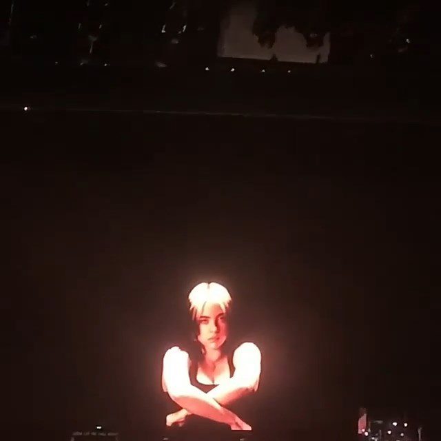 Billie Eilish Shows Some Skin At The Concert In Miami 0001