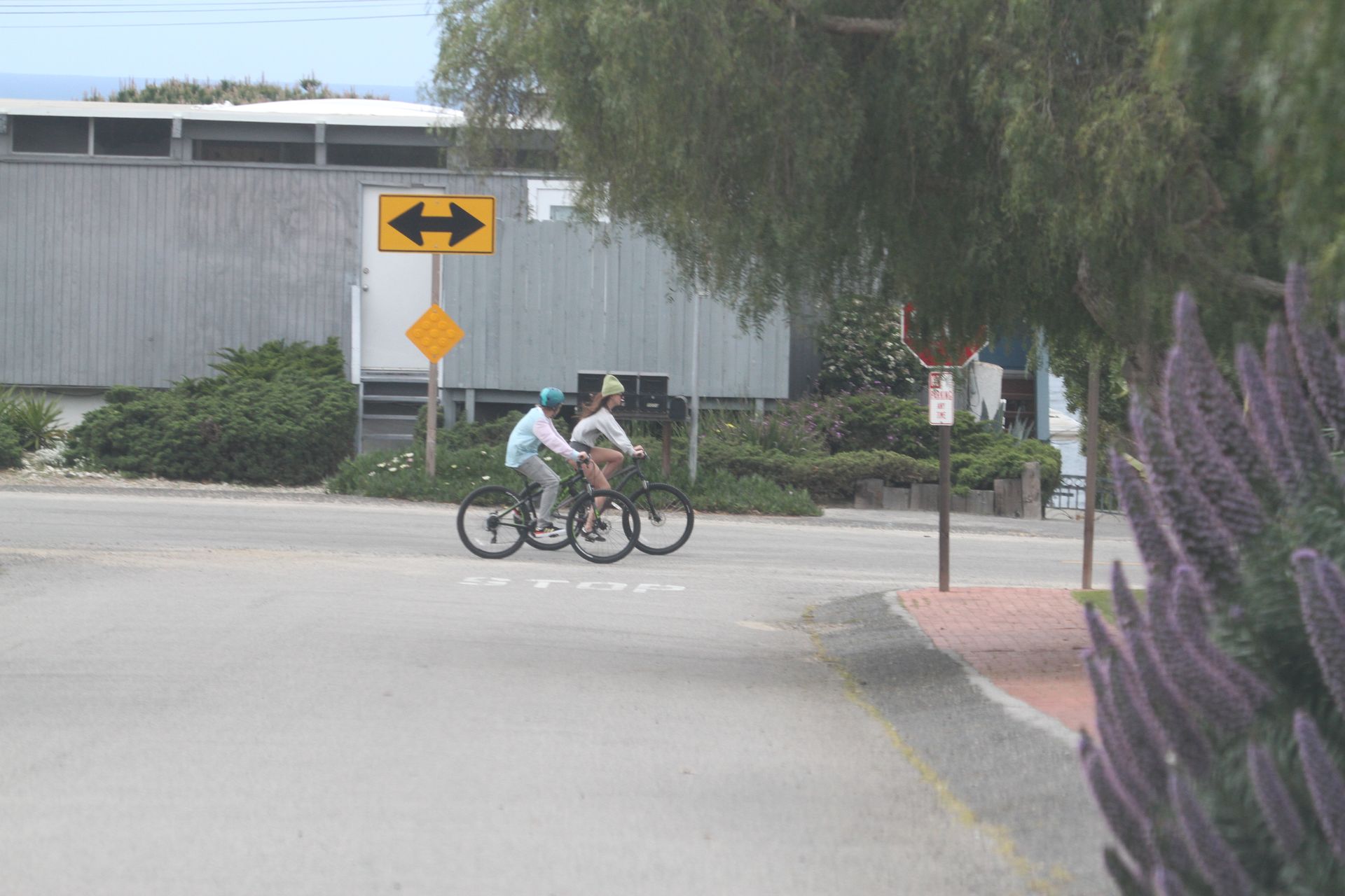 Dakota Johnson & Chris Martin Take His Kids Out For A Bike Ride In Malibu 0034