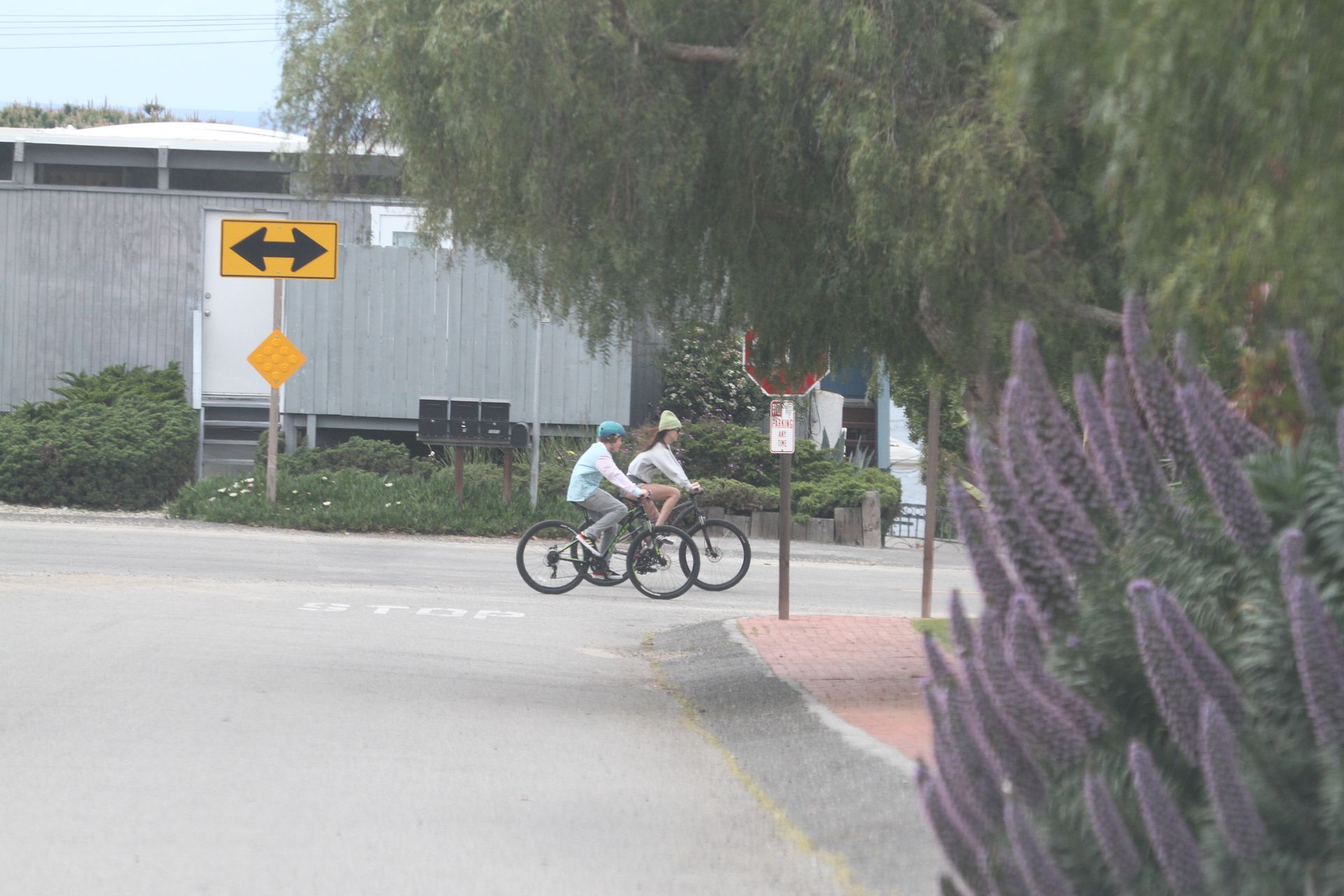 Dakota Johnson & Chris Martin Take His Kids Out For A Bike Ride In Malibu 0035