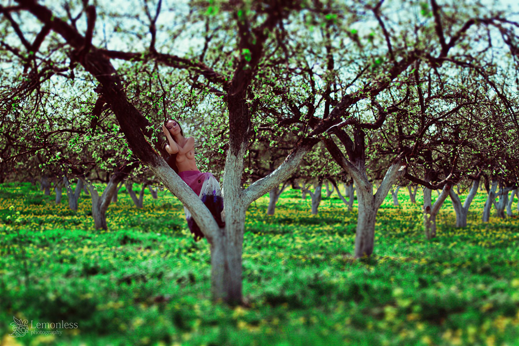 Nina Serebrova Nude & Sexy 0006