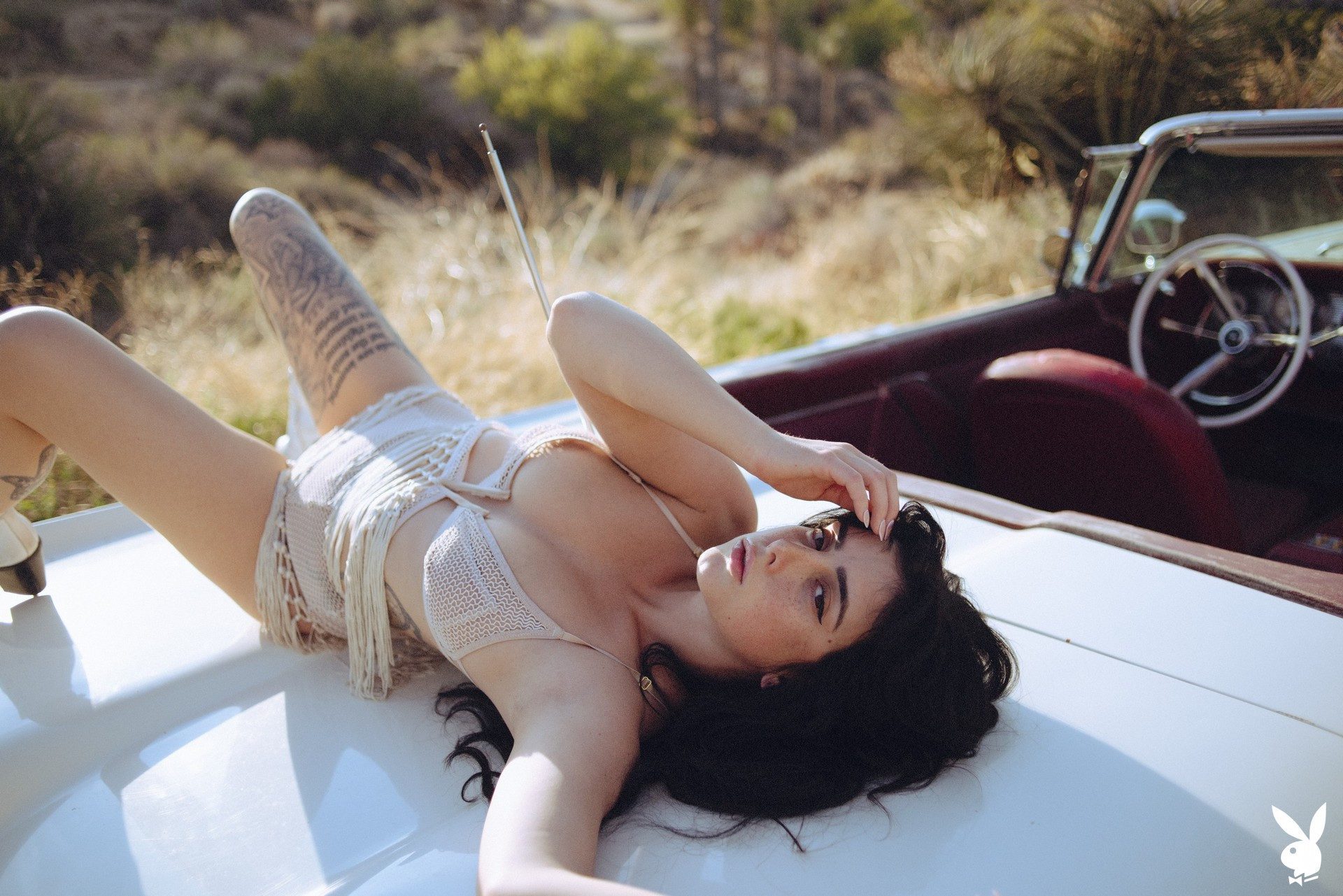 Reed In Sunset Detour Playboy Plus (9)