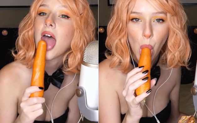 Diddly Easter Bunny Eats Carrot Asmr Video