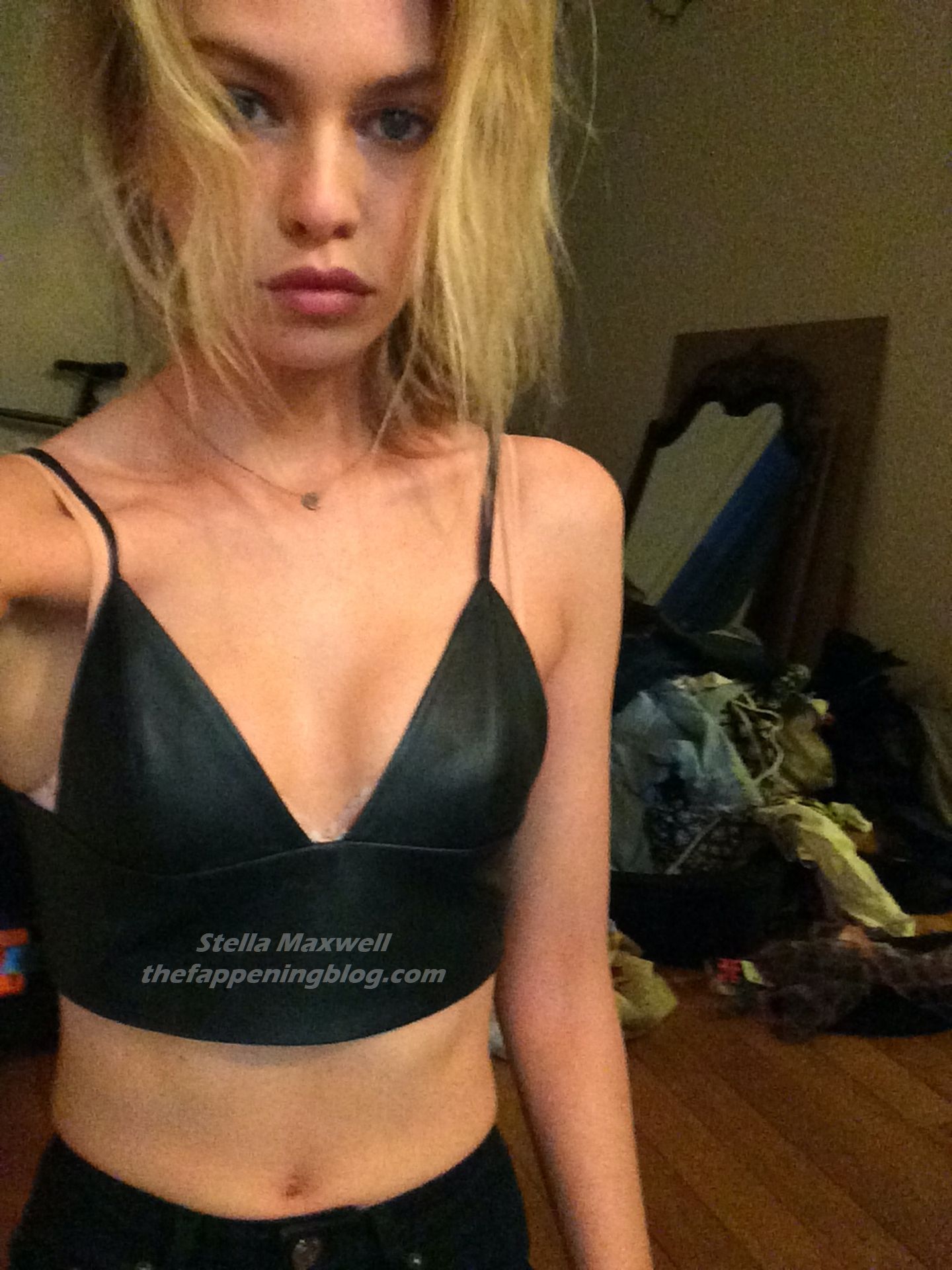 Stella Maxwell Nude Leaked The Fappening 0034