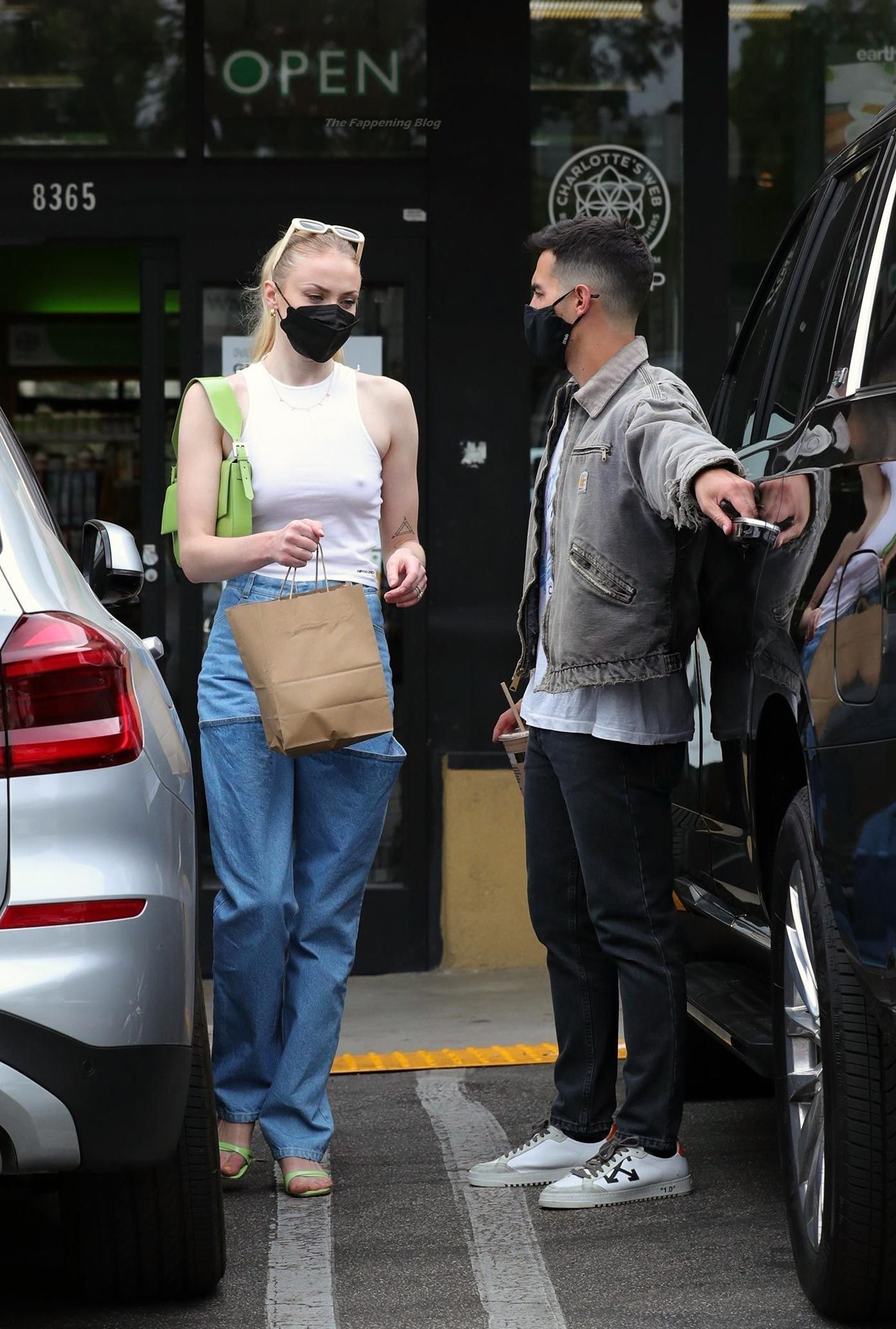 Sophie Turner Nude & Sexy 0181