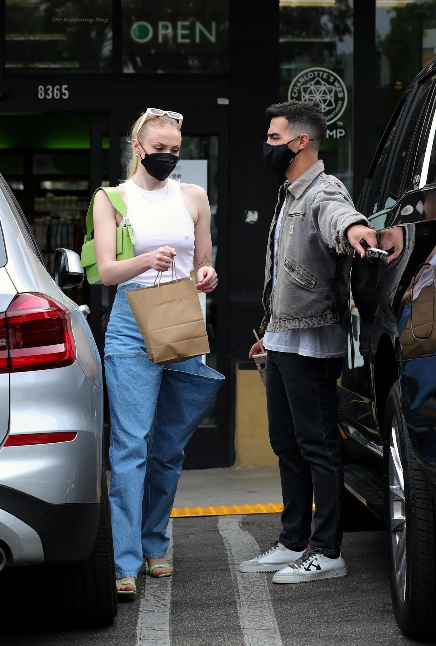 Sophie Turner Nude & Sexy 0183