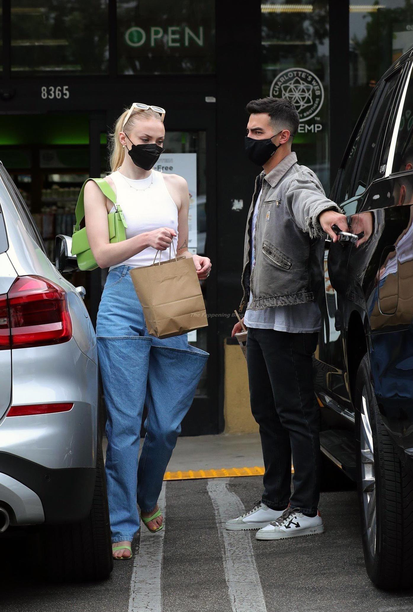 Sophie Turner Nude & Sexy 0185