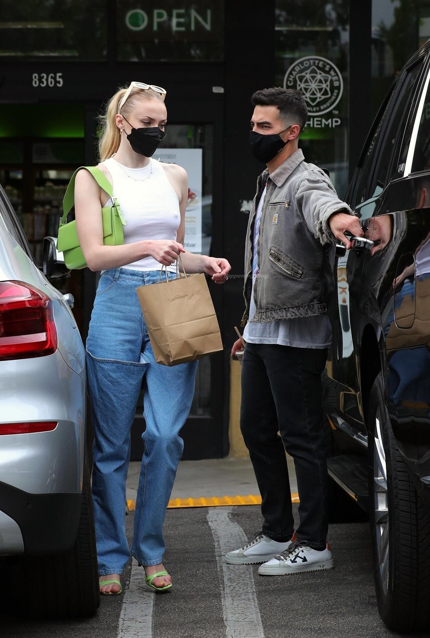 Sophie Turner Nude & Sexy 0188