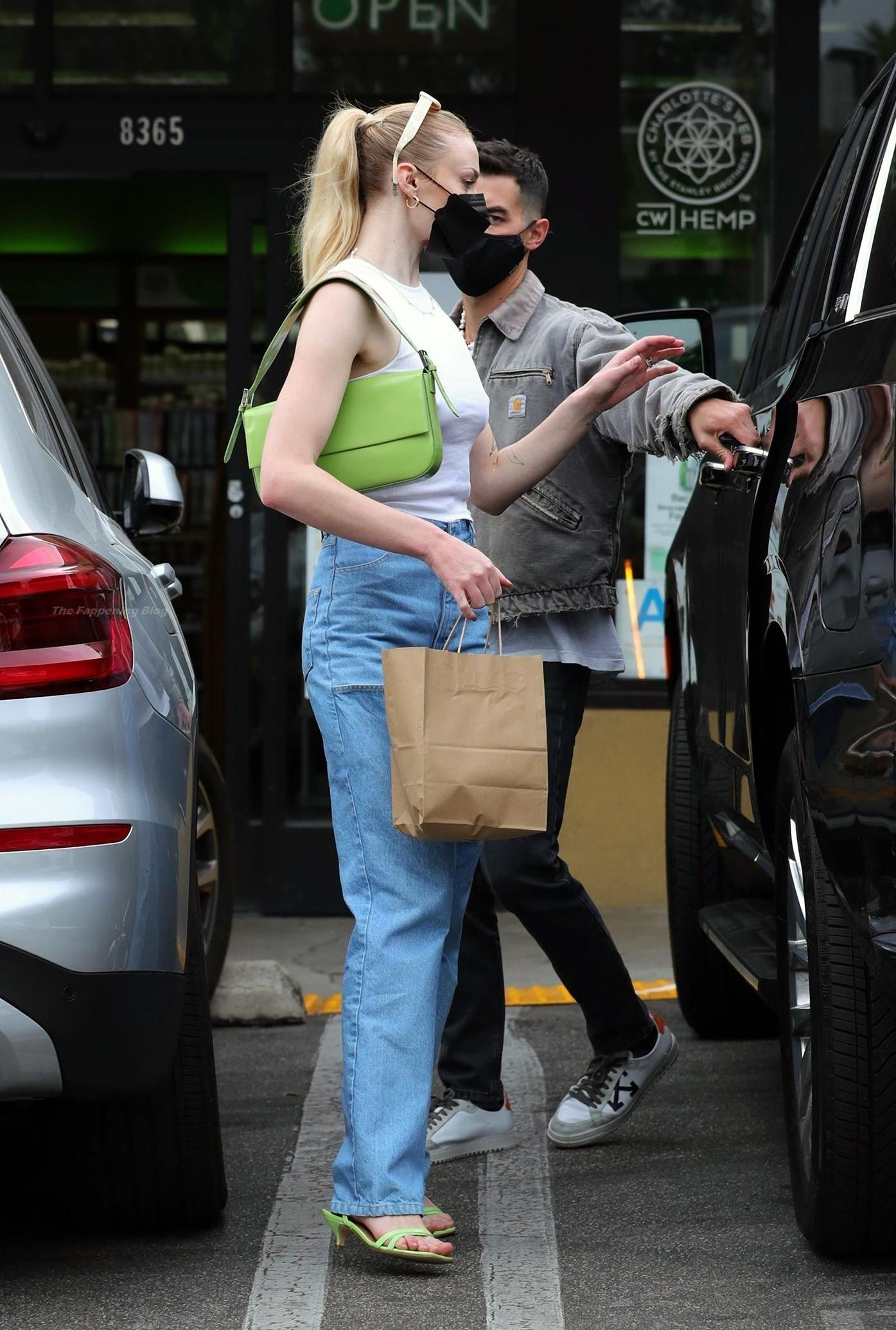 Sophie Turner Nude & Sexy 0192