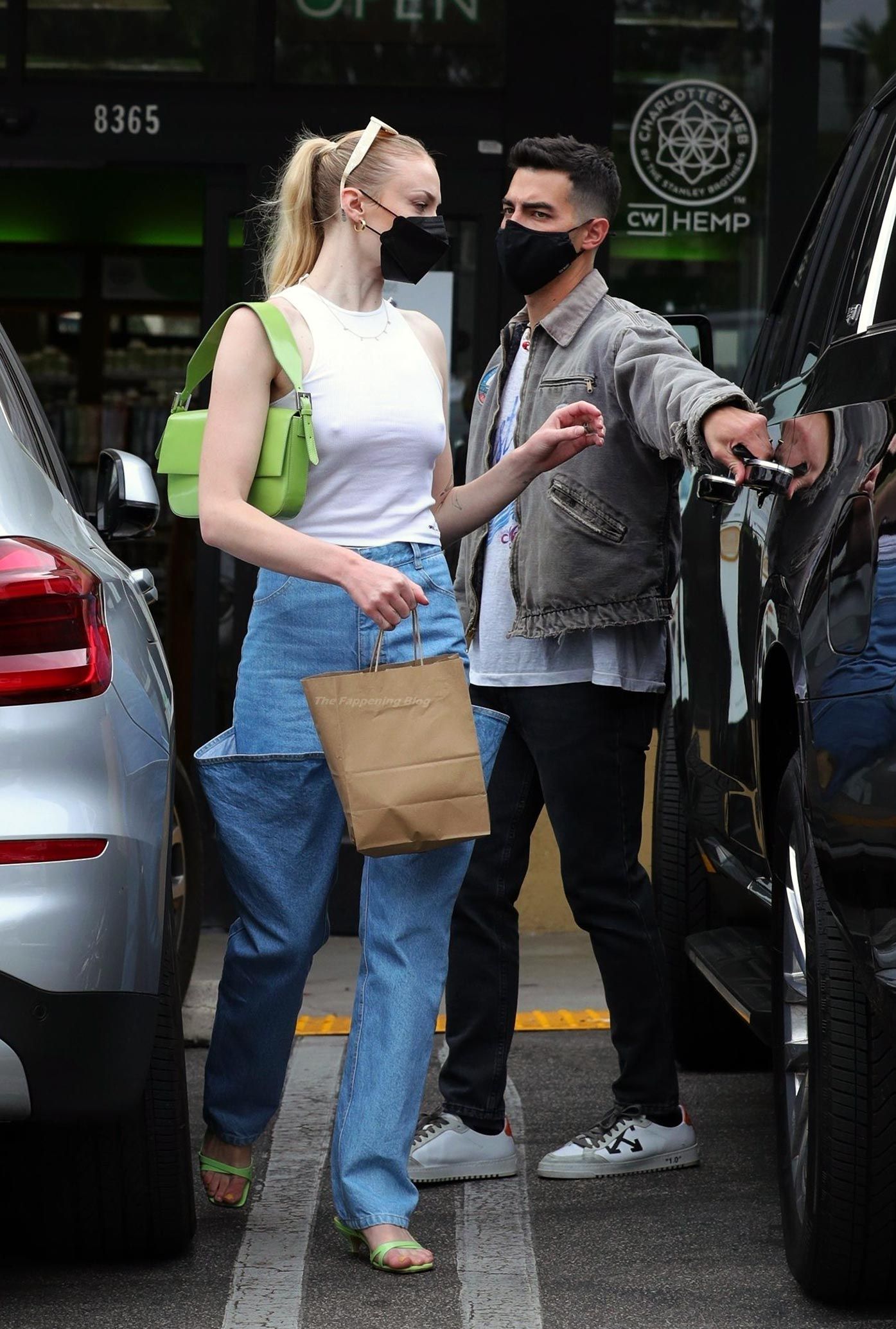 Sophie Turner Nude & Sexy 0216