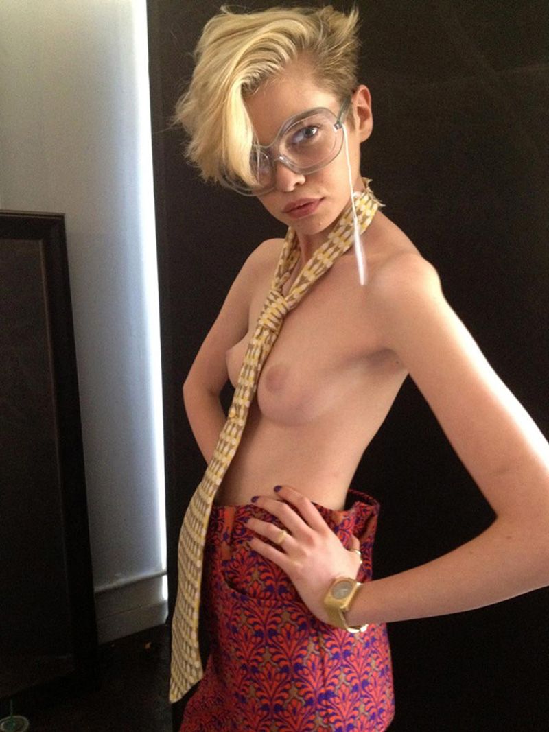 Stella Maxwell Nude Leaked Naked (11)