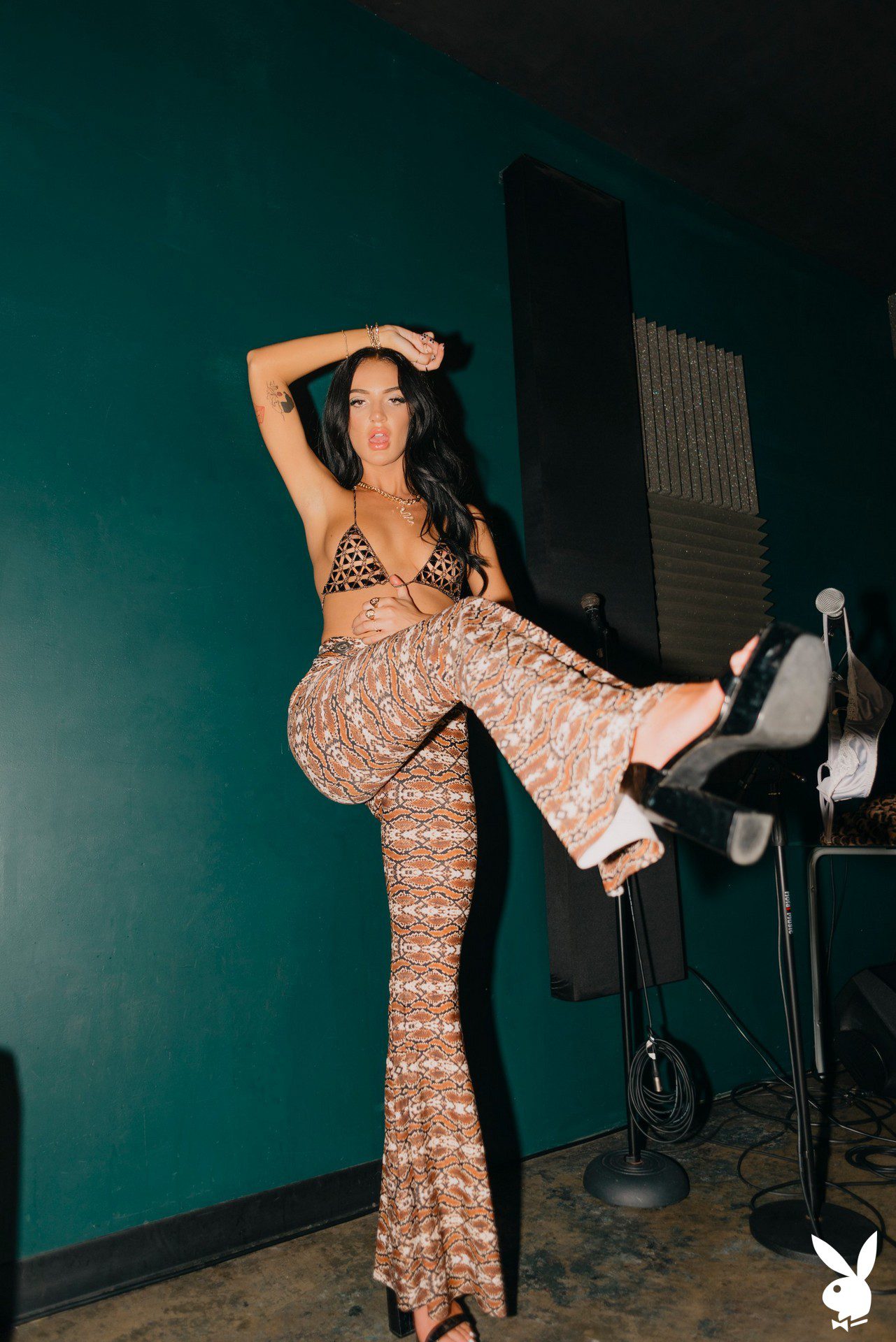 Ashlyn Cherè In Hard Rock Playboy Plus (3)